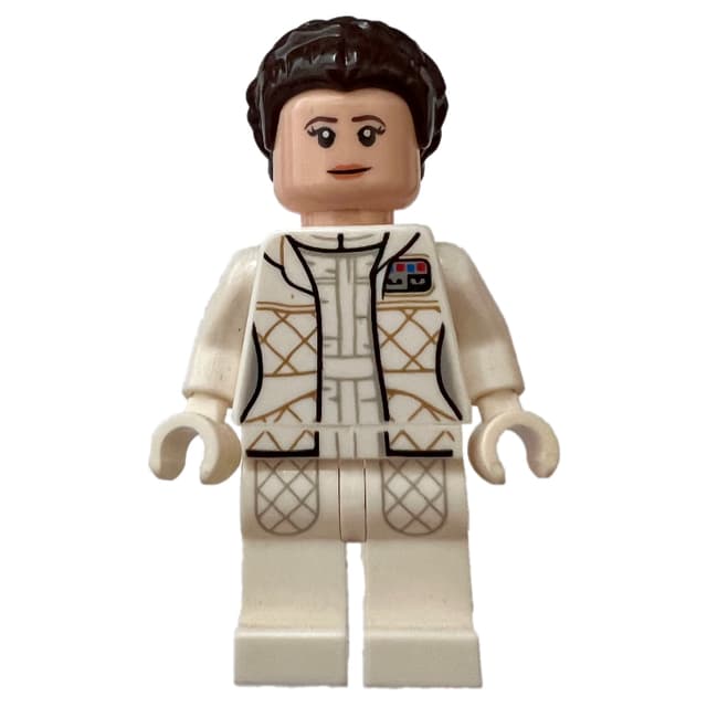 Princess Leia, Hoth Outfit, White Jacket, Printed Breathing Mask