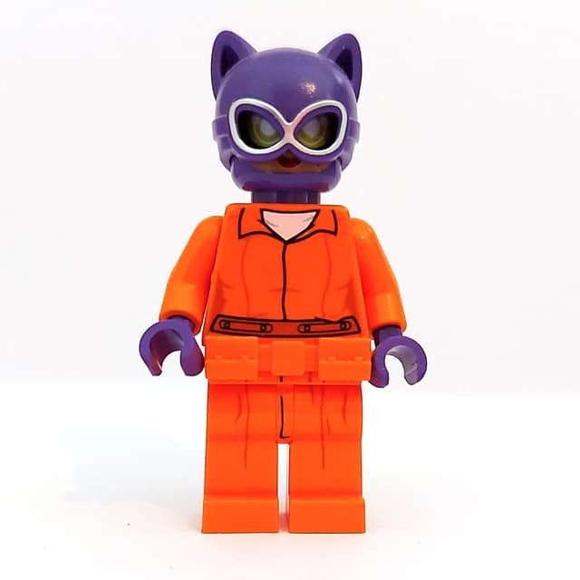 Catwoman in Prison Clothes