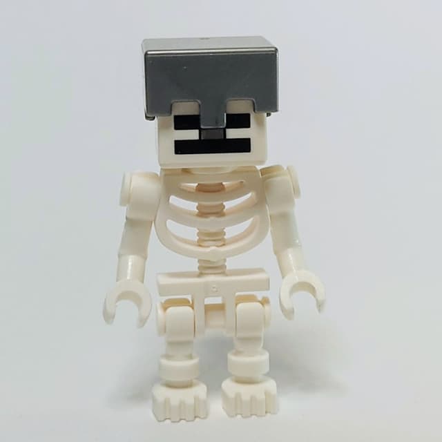 Skeleton, Square Skull, Flat Silver Helmet