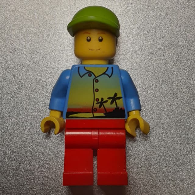 Man, Medium Blue Shirt with Palm Trees and Sunset, Red Legs, Lime Cap