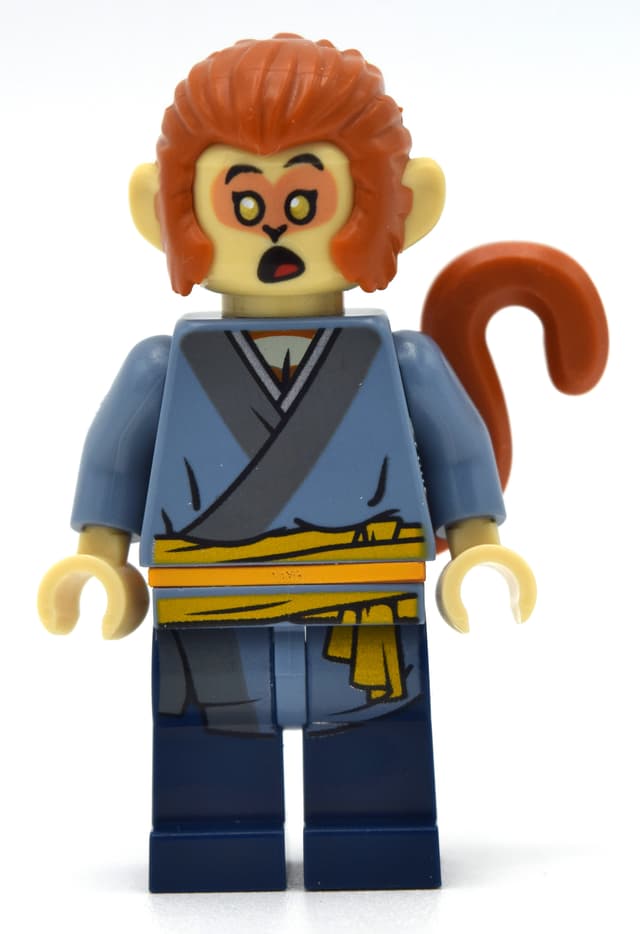 Apprentice Monkey King