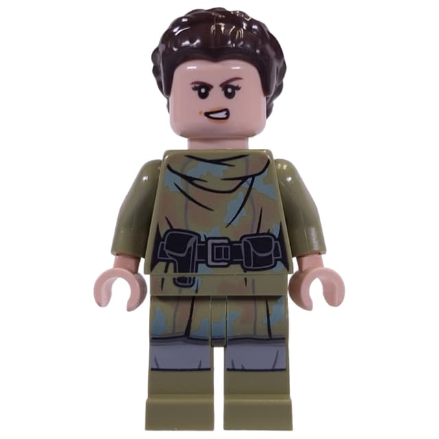 Princess Leia, Endor Outfit, Hair