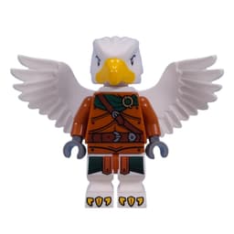 Aarakocra Ranger