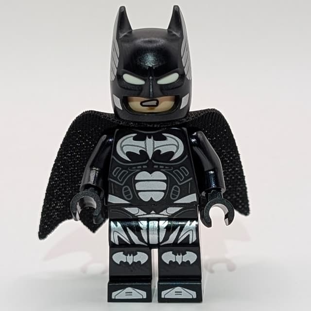 Batman, Black Suit, Black Cape and Cowl, Silver Logo, Printed Cowl